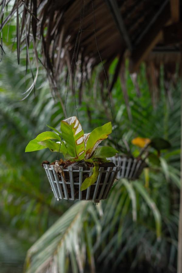 Nary Garden Hotell Kampot Eksteriør bilde