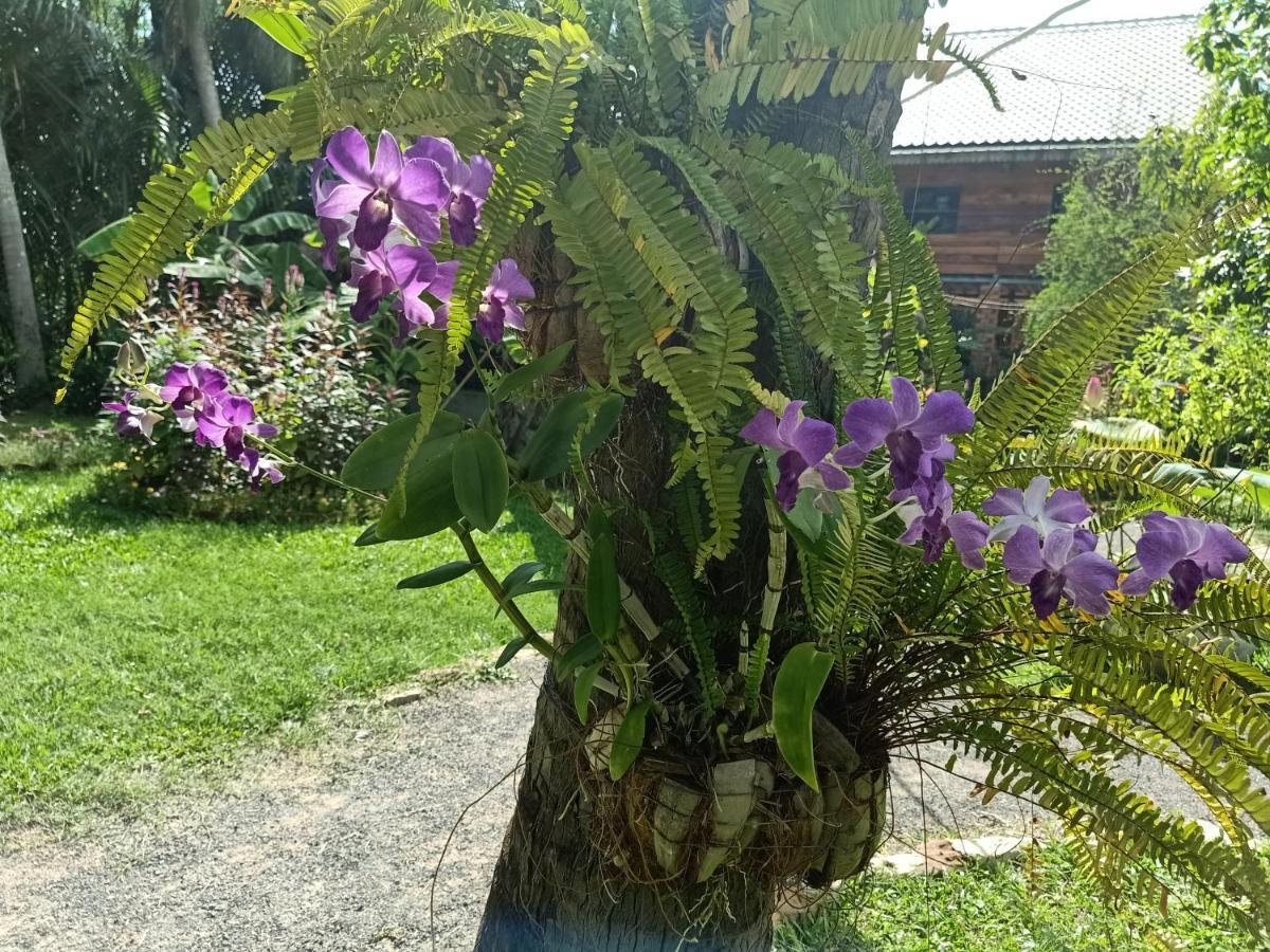 Nary Garden Hotell Kampot Eksteriør bilde