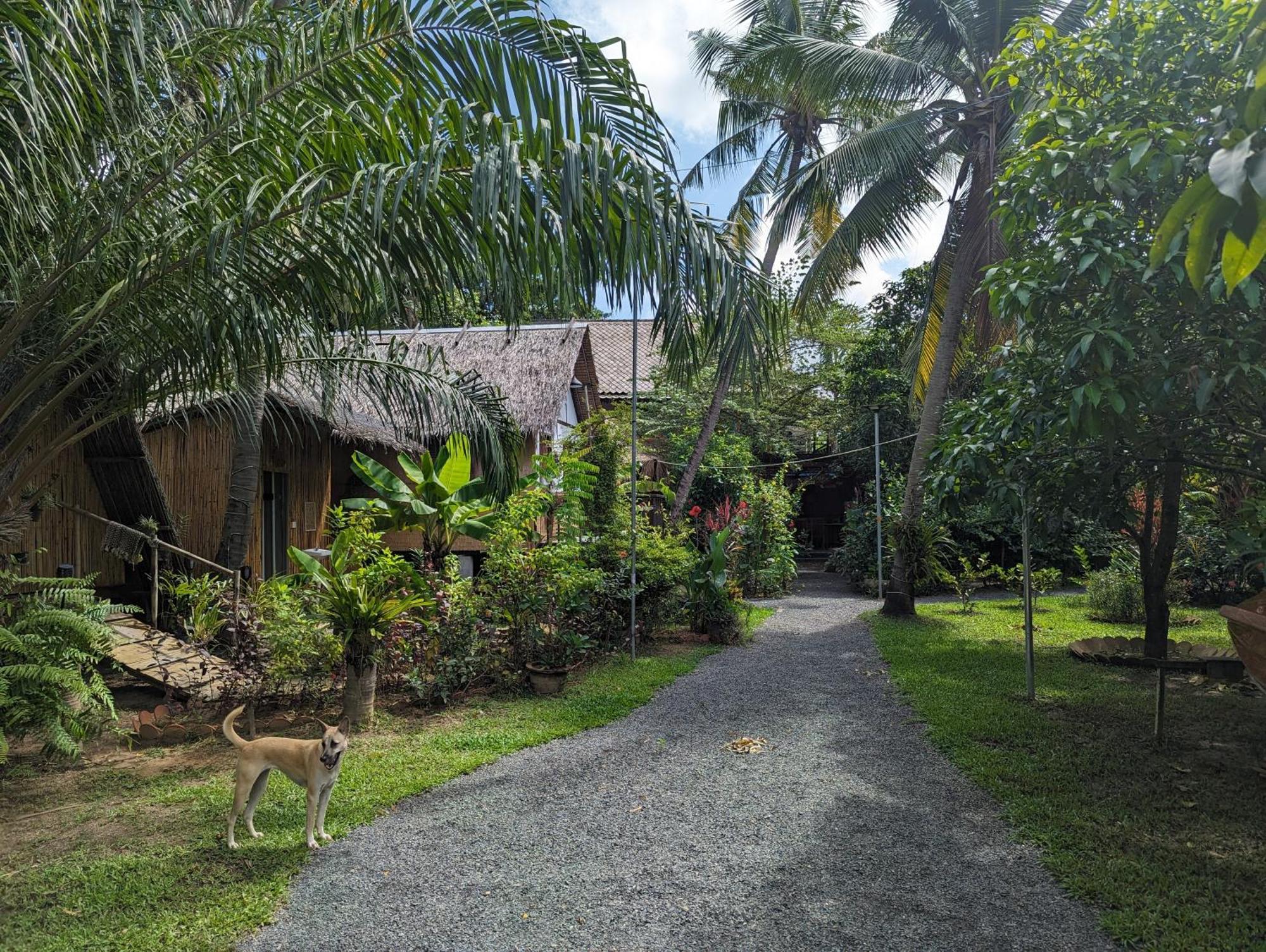 Nary Garden Hotell Kampot Eksteriør bilde